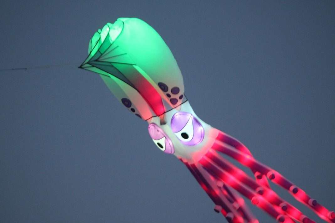 Lighted Night Fly Lighted Night Fly
