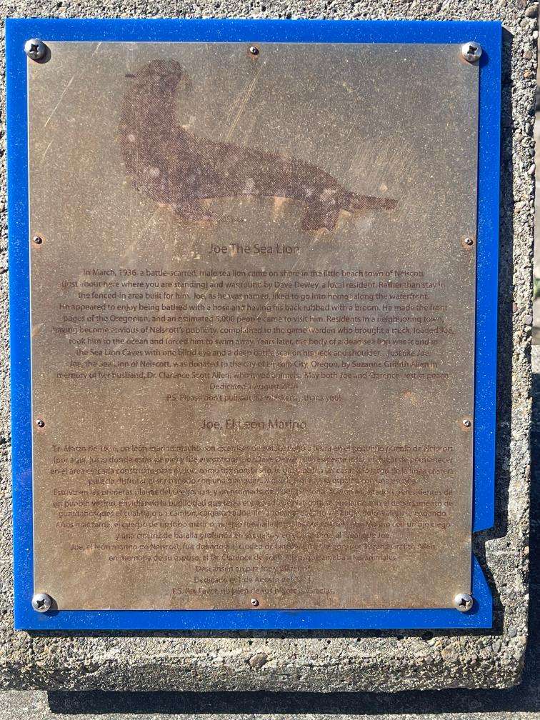 Joe The Sea Lion Plaque