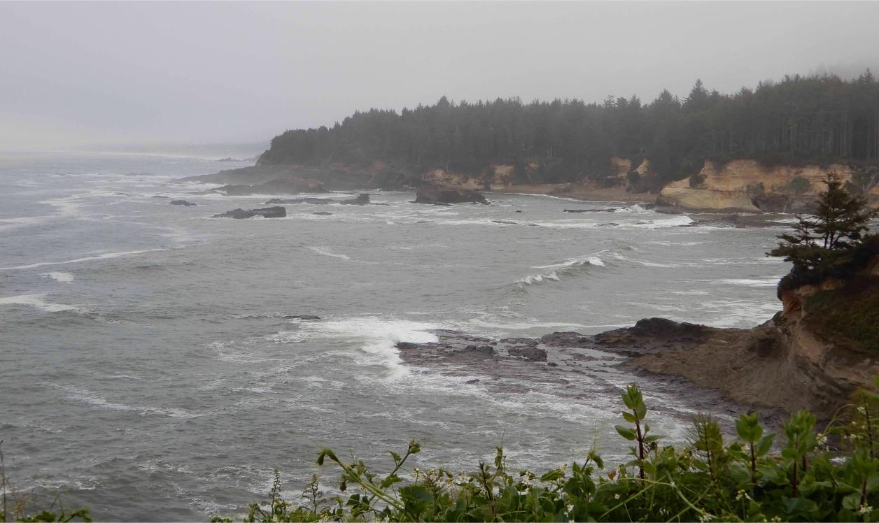 Boiler Bay from Government Point State Wayside