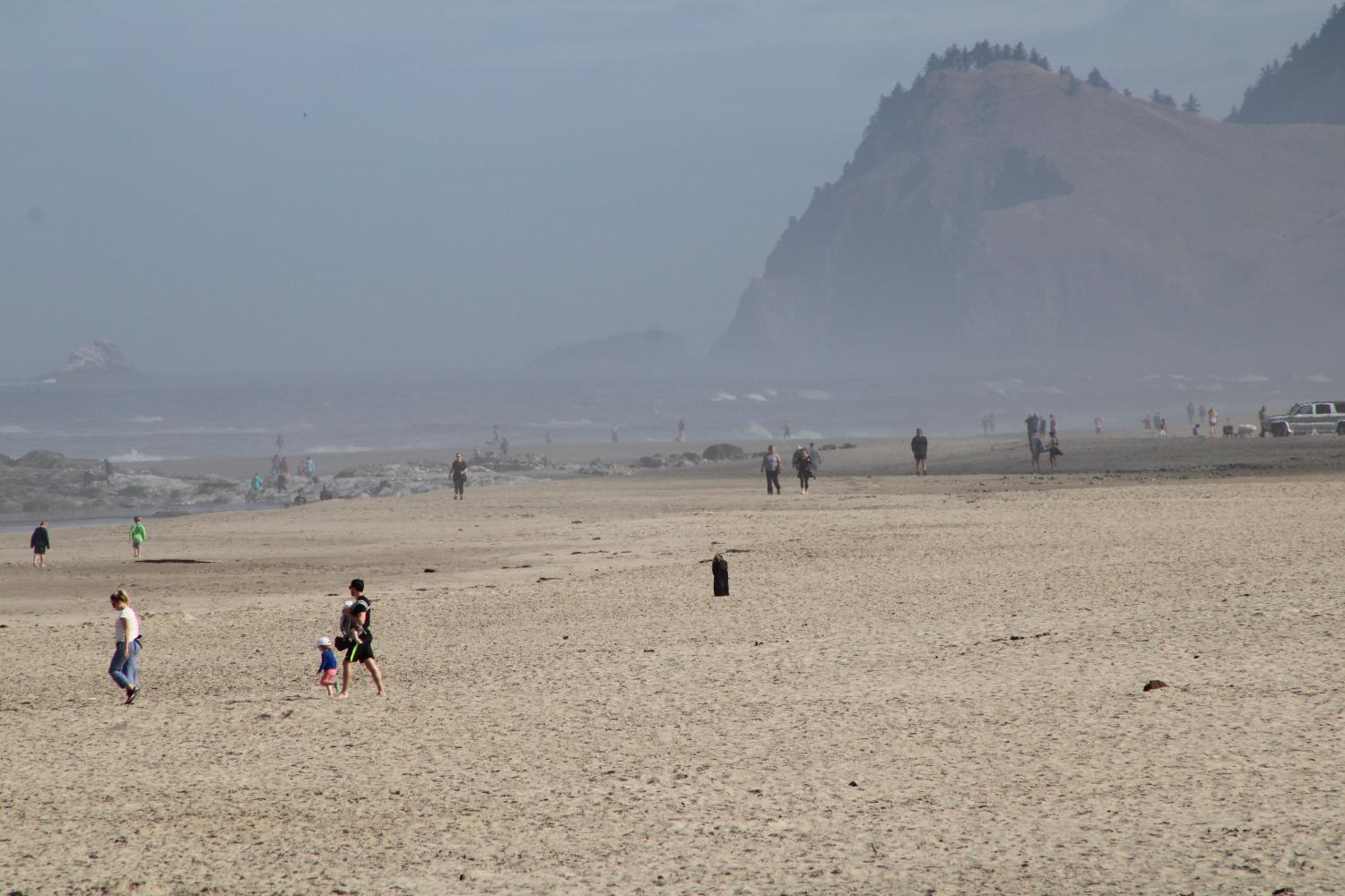 Lincoln City Oregon News