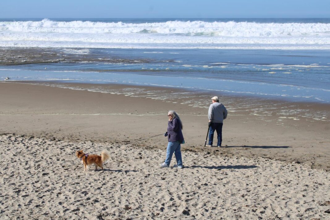 D River Beach Access D River Beach Access