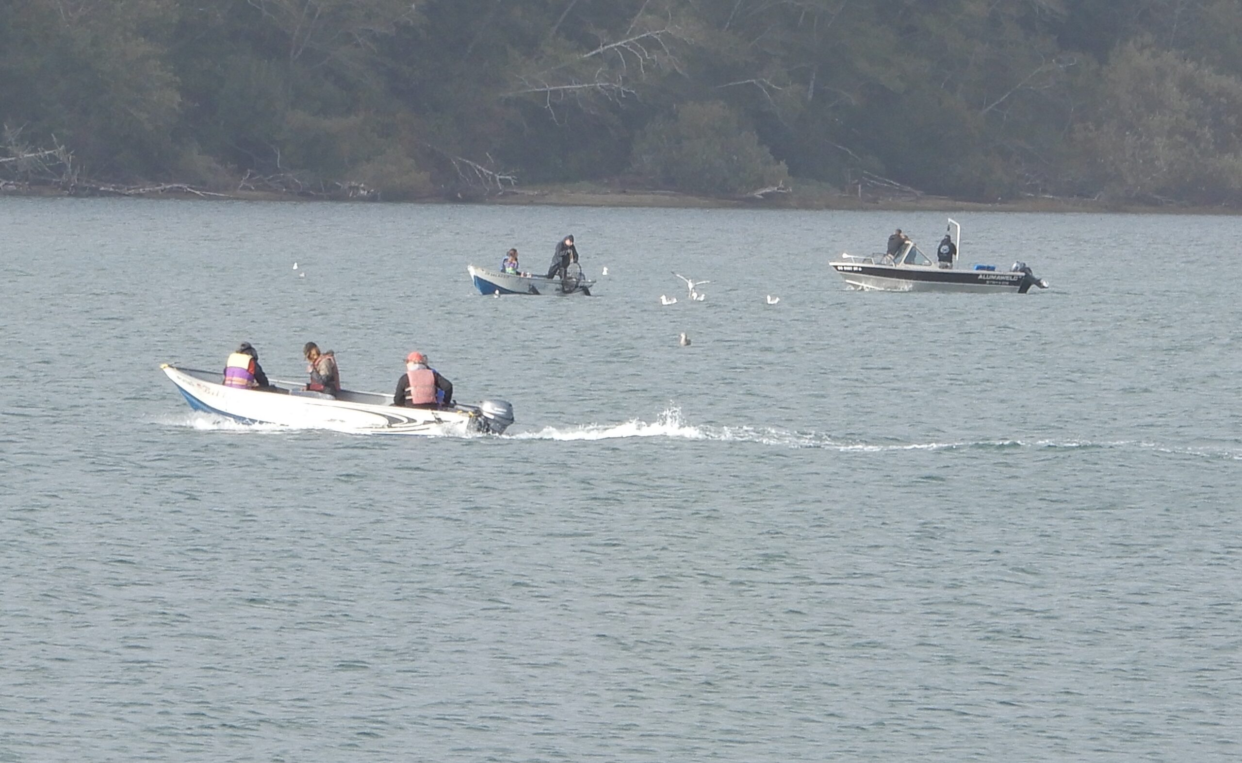 CRAB WALDPORT channel boats