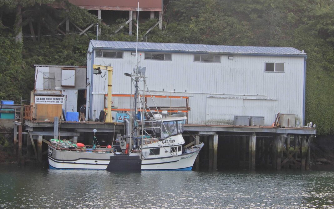 BBB.FISH PLANT.DB BBB.FISH PLANT.DB