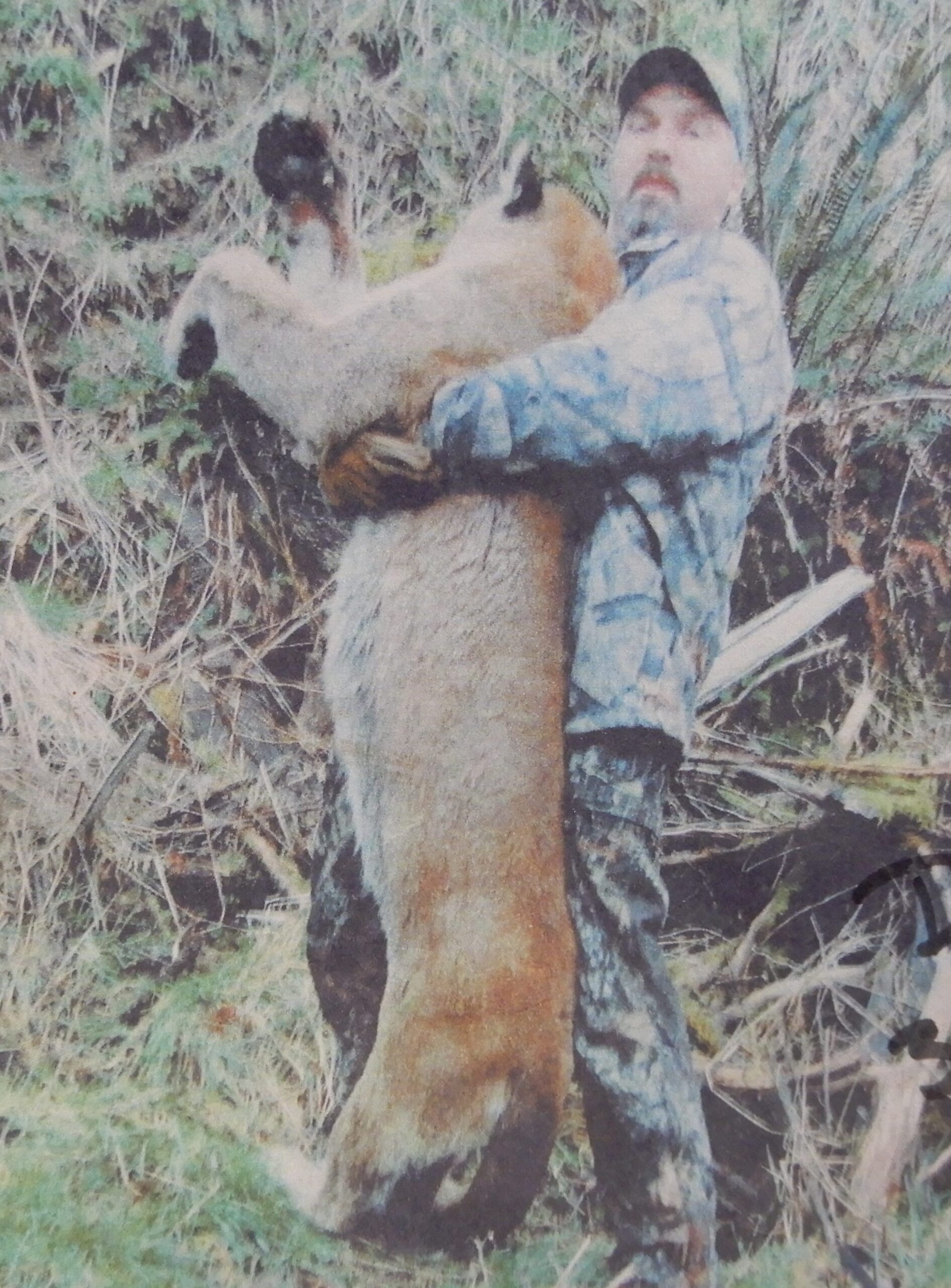 COUGAR TROPHY