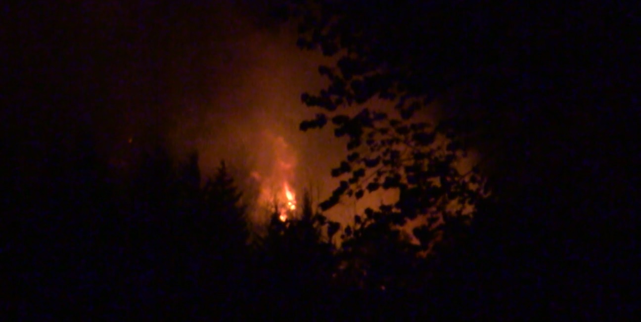 Wildfire