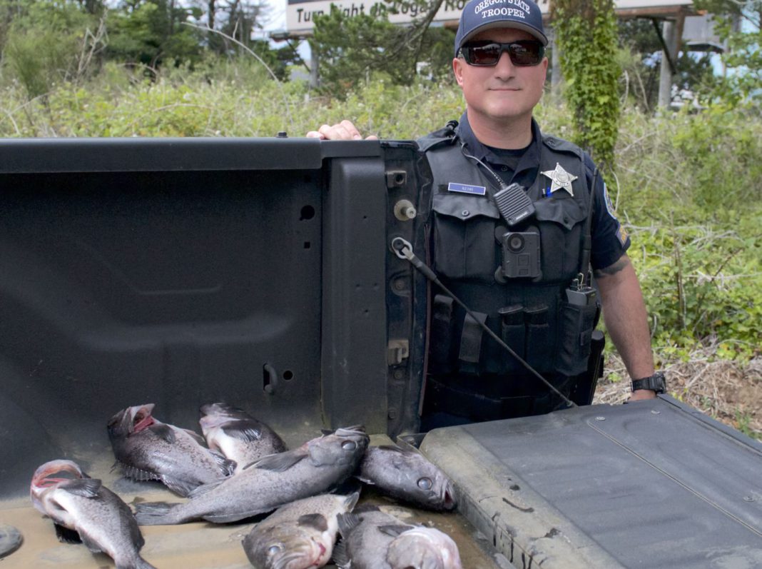 BBB.POACHING.OSP-ryan-kehr BBB.POACHING.OSP ryan kehr
