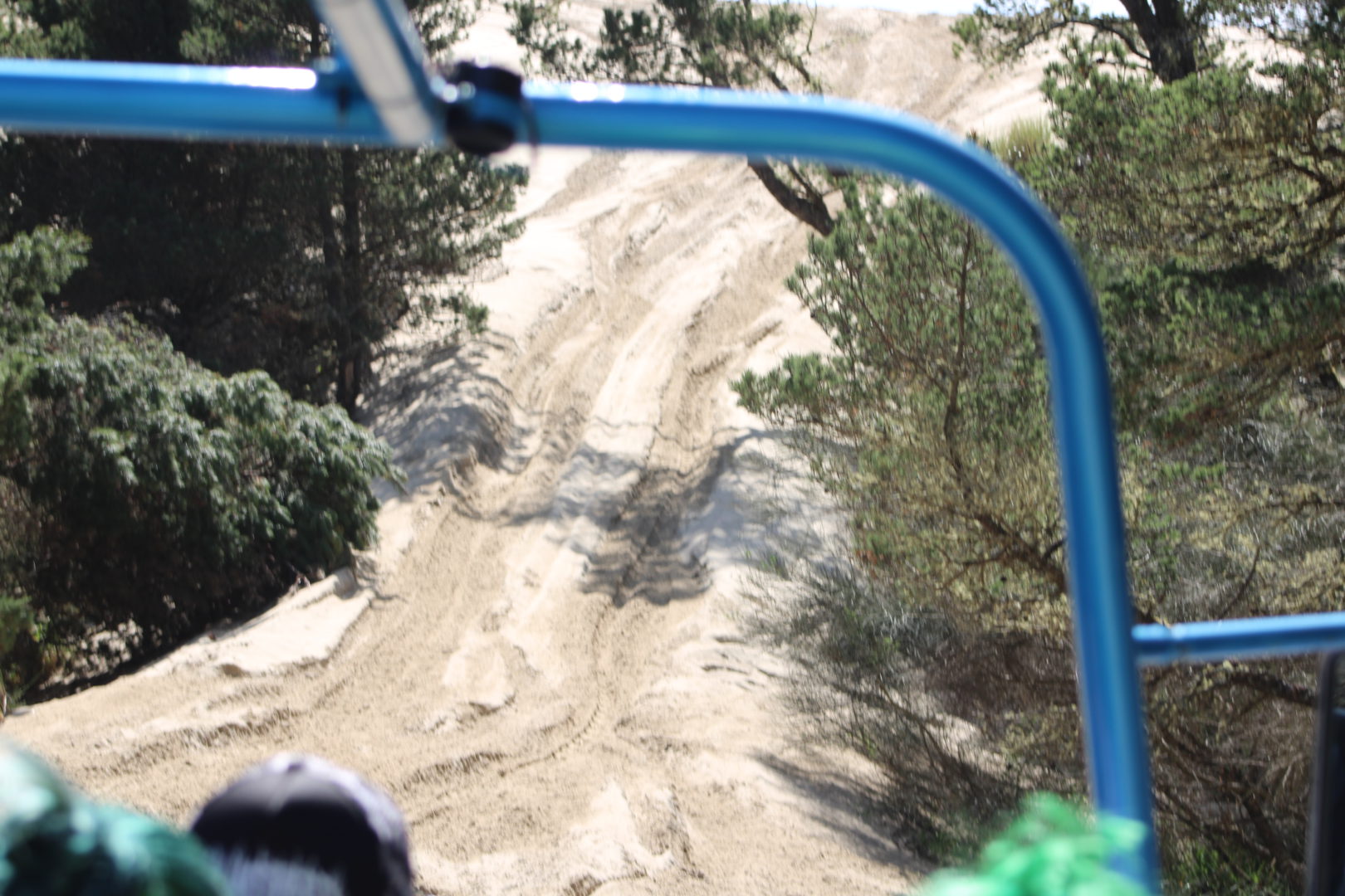 BigBuggy