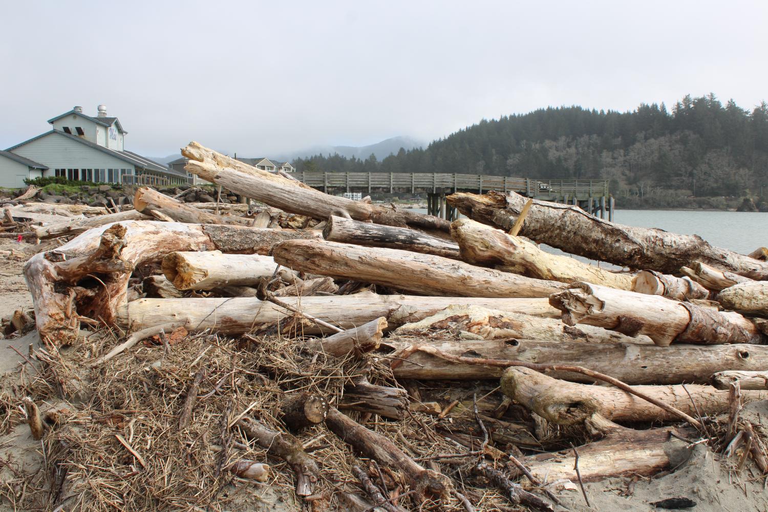 Mos Driftwood Bonanza