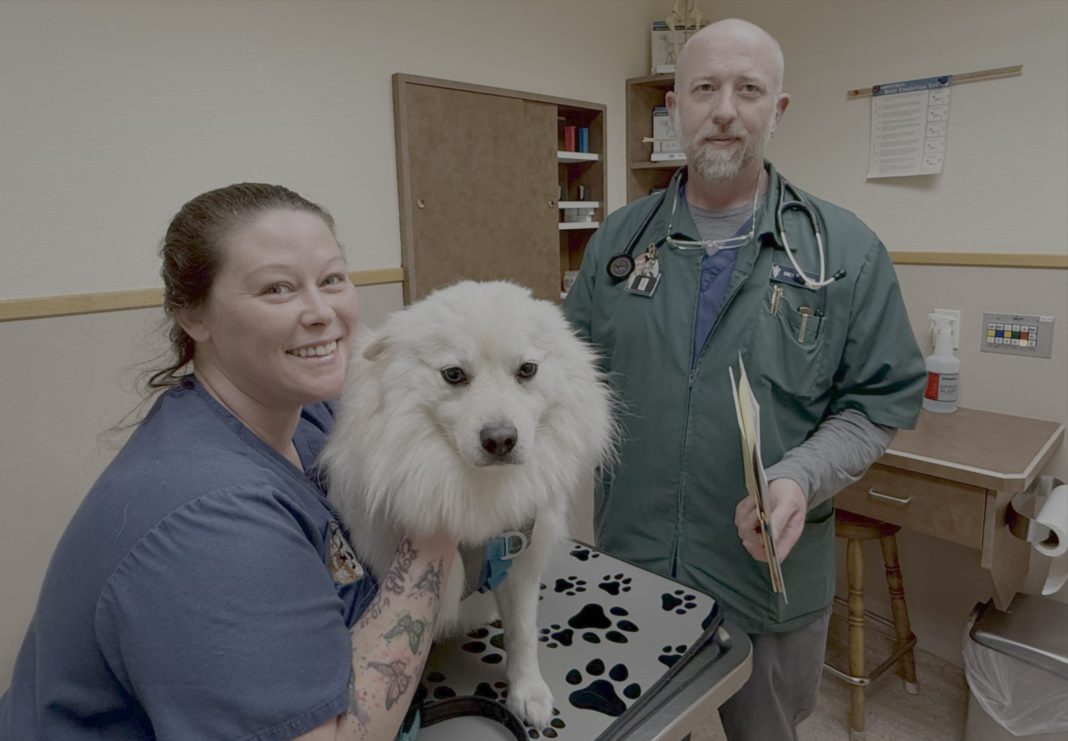 BBB.PETS ON POT.max-vet-asst BBB.PETS ON POT.max vet asst