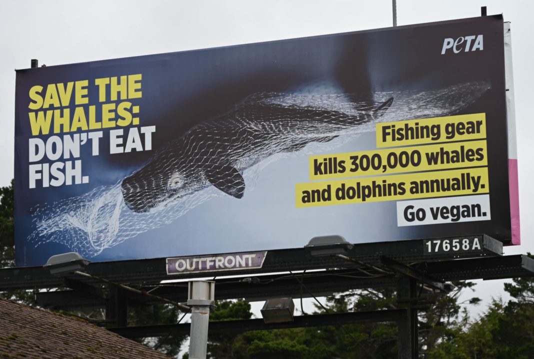 BBB.SAVE-THE-WHALES-peta-billboard BBB.SAVE THE WHALES peta billboard