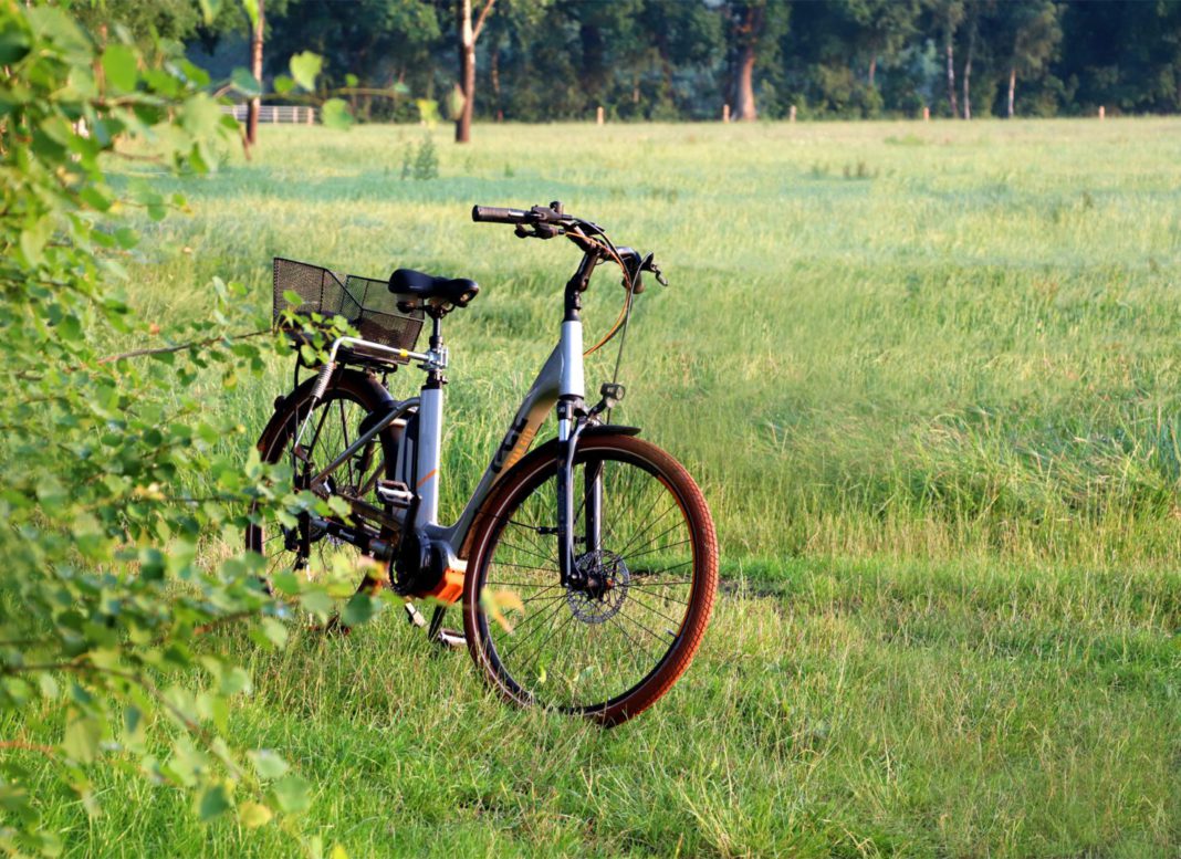 Newport Bait Bike